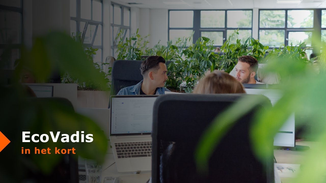 ecovadis in het kort